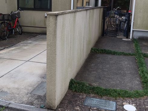 お隣と共有している塀。駐車場側は問題なく塗装できますが、正面を塗るかどうかはお隣との相談が必要です。